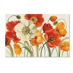 Walmart Trademark Fine Art 22x32 Floral Canvas Wall Art 'Poppies Melody I' by Lisa Audit offer