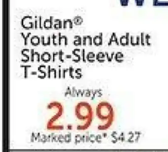 Hobby Lobby Gildan Youth and Adult Short-Sleeve T-Shirts offer