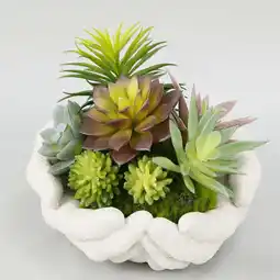 Walmart Mainstays 4 Mixed Green Succulent Arrangement in Ceramic Hands Pot offer