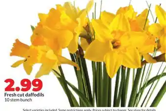 Hy-Vee Fresh cut daffodils offer