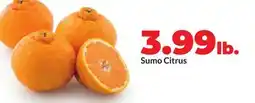 Hy-Vee Sumo Citrus offer