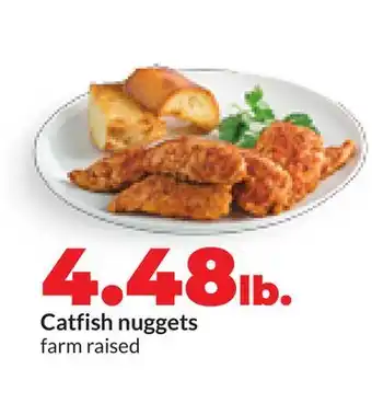 Hy-Vee Farm raised Catfish nuggets offer