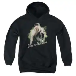 Walmart Harry Potter - Dumbledore Wand - Youth Hooded Sweatshirt - Medium offer