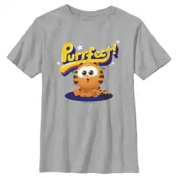 Walmart Boy's The Garfield Movie Purrfect Baby Graphic Tee Athletic Heather Large offer