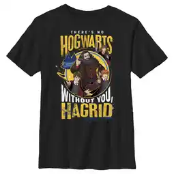 Walmart Boy's Harry Potter No Hogwarts Without Hagrid Graphic Tee Black X Large offer