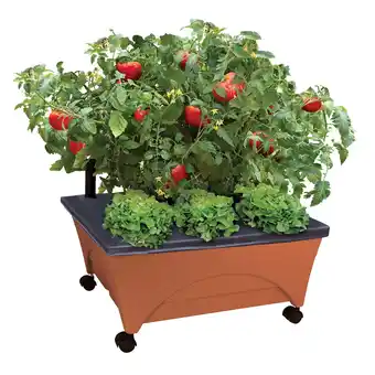 Walmart City Picker Raised Bed Grow Box - Self Watering and Improved Aeration - Mobile Unit with Casters offer