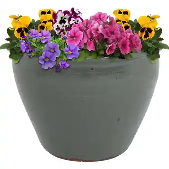 Walmart Sunnydaze Chalet 14.5 x 14.5 x 11.25 Round Gray Ceramic Outdoor Planter offer