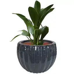 Walmart Sunnydaze 13.5 x 13.5 x 11 Round Black Mist Ceramic Outdoor Planter Pot offer