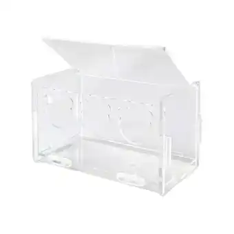 Walmart hengtong Acrylic Bird Chicken Feeder Feeding Device Food Container Dispenser Pet Bowl for offer