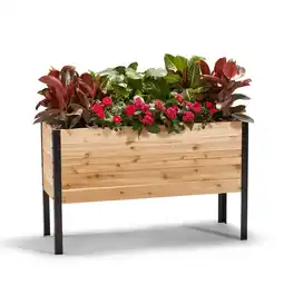 Walmart 18 x 48 Raised Garden Bed offer