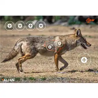 Walmart Ez Aim Paper Shooting Targets, Coyote, 35 In x 25 In, 2-Pack, Multi-Color offer