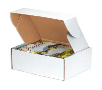 Walmart Box Partners DLX Lit.Mailers,17 1/8x11 1/8x2,White,50/BDL - BXP MFL17112 offer