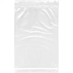 Walmart Plymor 6 x 9 (Pack of 100), 2 Mil with Pouch Zipper Reclosable Plastic Bags offer