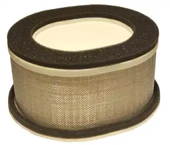 Walmart Replacement Air Filter for Yamaha FZS1000 FZ1 2001-2005 offer