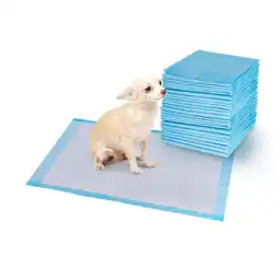 Walmart Costway 200 PCS 24'' x 24'' Puppy Pet Pads Dog Cat Wee Pee Piddle Pad training underpads offer