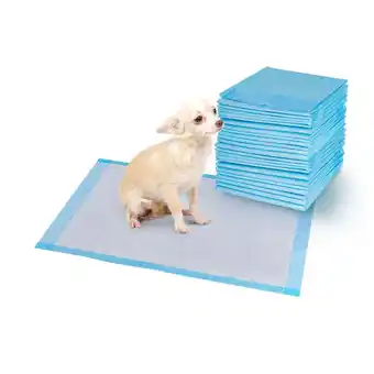 Walmart Costway 200 PCS 24'' x 24'' Puppy Pet Pads Dog Cat Wee Pee Piddle Pad training underpads offer