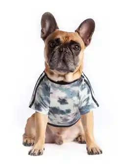 Walmart Coco + Rebel Tie-Dye Athletic Dog T-Shirt offer