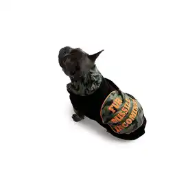 Walmart JOLLY KNITS DOG HOODIE- Incoming! - XXLarge offer