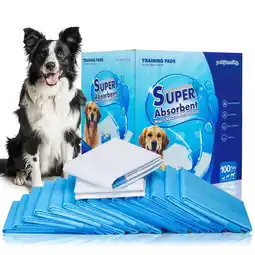 Walmart Petfamily Dog Training Pads, Puppy Pads, Super Absorbent, 22 in x 22 in, 100 Count offer