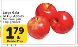 Albertsons Large Gala or Fuji Apples offer