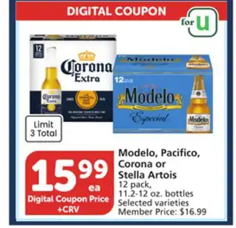 Albertsons Modelo, Pacifico, Corona or Stella Artois offer