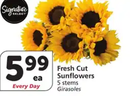 Albertsons Fresh Cut Sunflowers offer