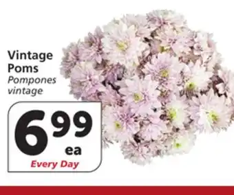 Albertsons Vintage Poms offer