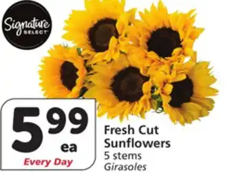 Vons Fresh Cut Sunflowers offer