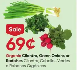 Stater Bros Organic Cilantro, Green Onions or Radishes offer