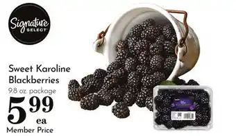 Pavilions Sweet Karoline Blackberries offer