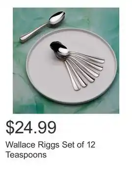 Costco Wallace Riggs Set of 12 Teaspoons offer