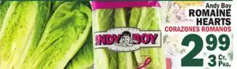 Bravo Supermarkets ANDY BOY ROMAINE HEARTS offer