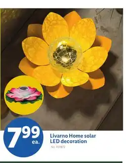 Lidl Livarno Home solar LED decoration offer