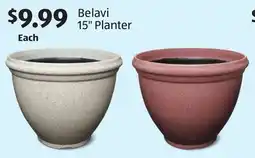 Aldi Belavi 15 Planter offer