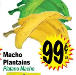 Superior Grocers Macho Plantains offer