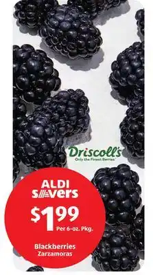 Aldi Blackberries offer