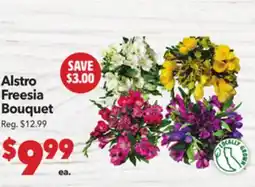 Vallarta Supermarkets Alstro Freesia Bouquet offer