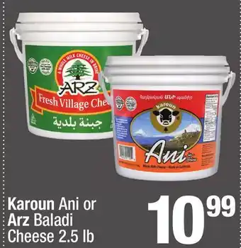 Super King Markets Karoun Ani or Arz Baladi Cheese offer