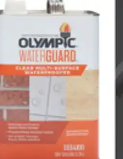 The Home Depot Olympic Gallon Waterguard Multi-Surface Clear Waterproofing Sealant offer