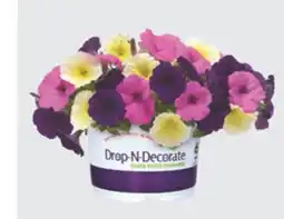 The Home Depot Drop-N-Decorate Prearranged annual mixes for any container or landscape offer