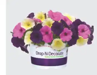 The Home Depot Drop-N-Decorate Prearranged annual mixes for any container or landscape offer