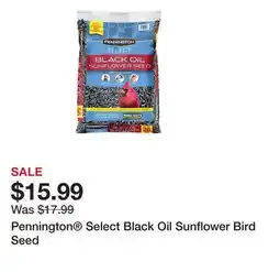 Petsmart Pennington Select Black Oil Sunflower Bird Seed offer