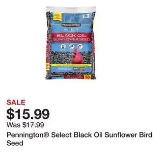 Petsmart Pennington Select Black Oil Sunflower Bird Seed offer