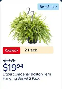 Walmart (2 pack) Expert Gardener 1.5Gal Green Boston Fern Live Plant Hanging Basket Part Shade offer