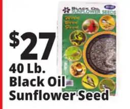 Ocean State Job Lot Black Oil Sunflower Seeds 40 lbs offer