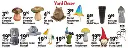 Ocean State Job Lot Yard Decor offer