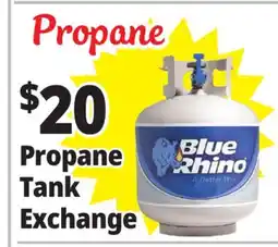 Ocean State Job Lot Blue Rhino Propane Tank Exchange offer