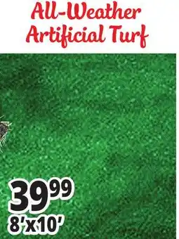 Ocean State Job Lot All-Weather Artificial Turf offer