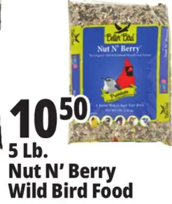 Ocean State Job Lot Better Bird Premium Nut N' Berry Bird Food 5 lbs offer