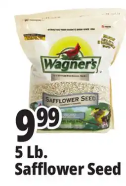 Ocean State Job Lot Wagner's Safflower Seed Deluxe Wild Bird Food offer